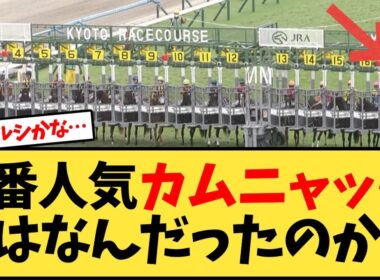 【秋華賞】 カムニャックとはなんだったのか…【競馬反応集】