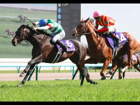 20250504 競馬ﾚｰｽﾄﾋﾟｯｸ　15【悲願G1勝利!!】'25天皇賞春 T3200 G1 ヘデントール