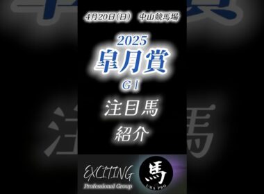 皐月賞2025  有力馬紹介4月20日 中山競馬場3歳クラシック #皐月賞 #競馬 #shorts #予想