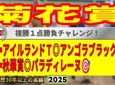 菊花賞2025競馬予想🔥9連続G1的中男の本命馬は！？