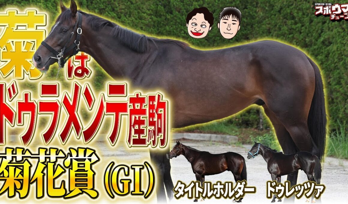 【田井の馬体診断】菊花賞は3000㍍への適性ピカイチなエネルジコで決まり