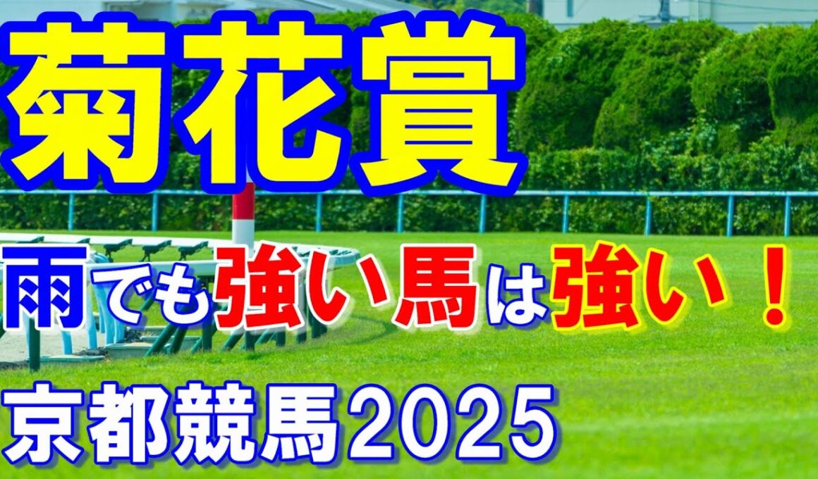 菊花賞２０２５【京都競馬予想】雨が降っても末脚炸裂！？