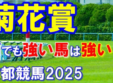 菊花賞２０２５【京都競馬予想】雨が降っても末脚炸裂！？