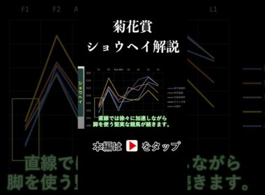 菊花賞 ラップタイム分析【ショウヘイ編】