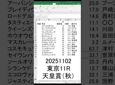 20251102 指数 東京11R 天皇賞（秋）単複特化型