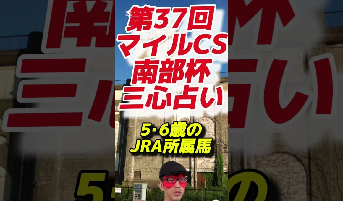 【昨年🎯2着◎ペプチドナイル】第38回マイルチャンピオンシップ南部杯（2025.10.13 盛岡競馬場）三心占い🏇