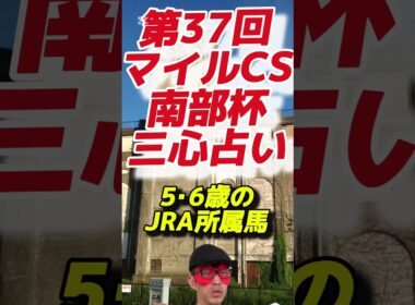 【昨年🎯2着◎ペプチドナイル】第38回マイルチャンピオンシップ南部杯（2025.10.13 盛岡競馬場）三心占い🏇