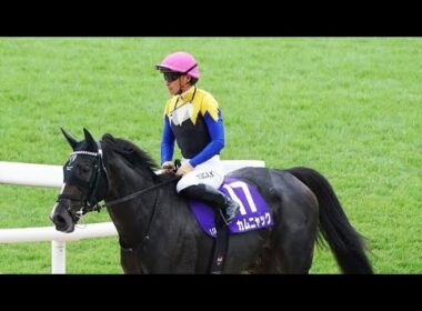 倒的1番人気に推されたオークス馬の不可解な大敗　レース直前で起きた“異変“、波乱を招いた2つの要因【秋華賞】