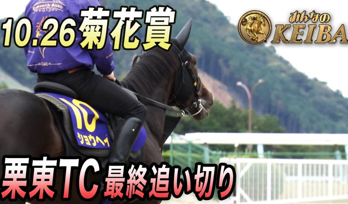 【2025 菊花賞・GⅠ】最終追い切り