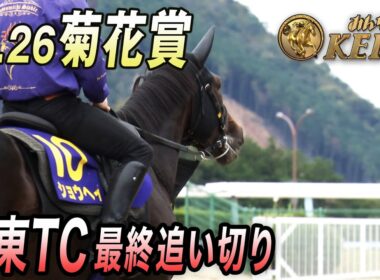 【2025 菊花賞・GⅠ】最終追い切り