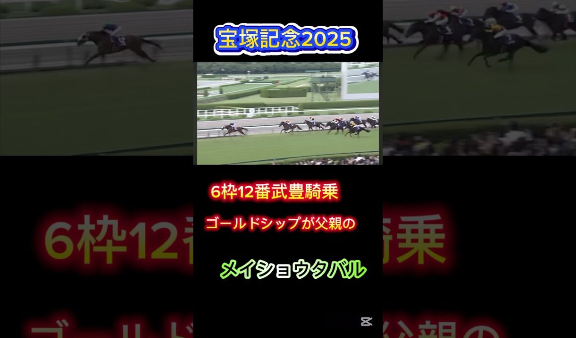 【宝塚記念】メイショウタバルの大逃げ#shorts