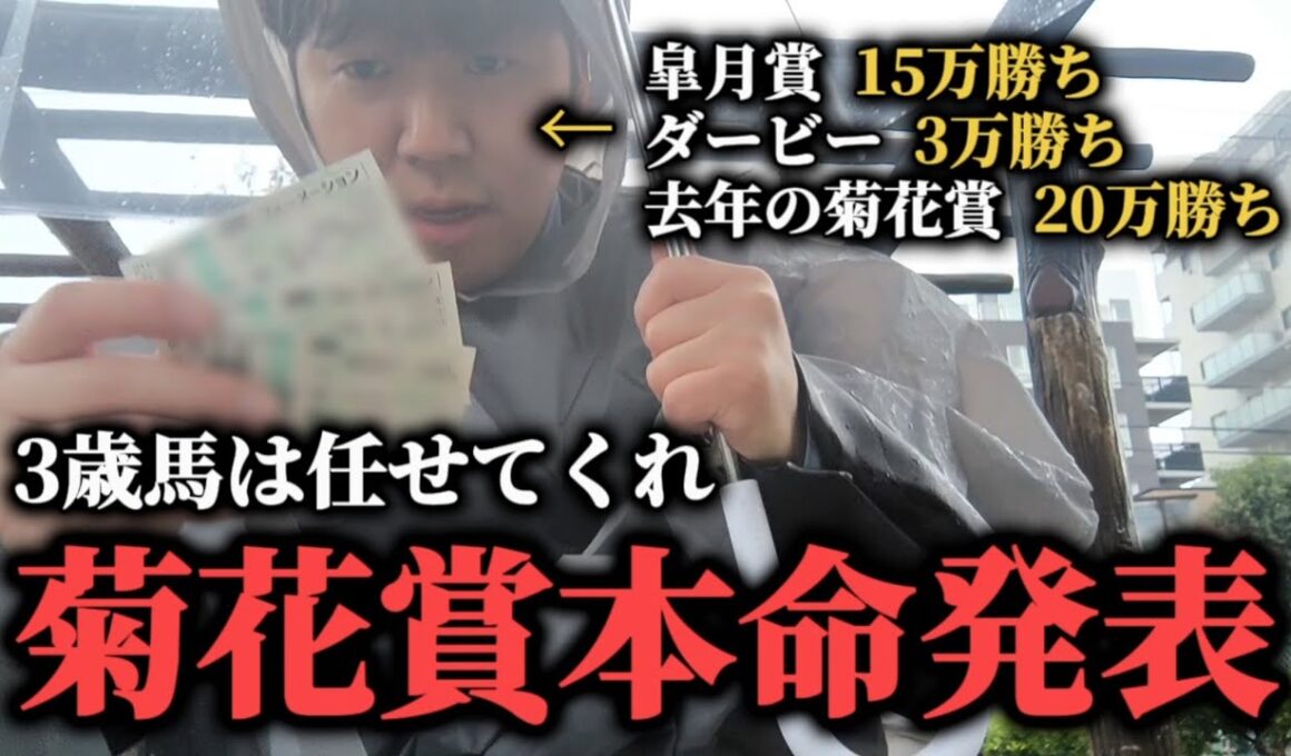 【菊花賞2025 予想】皐月賞ダービーと勝ってる男が菊花賞の購入馬券を紹介します
