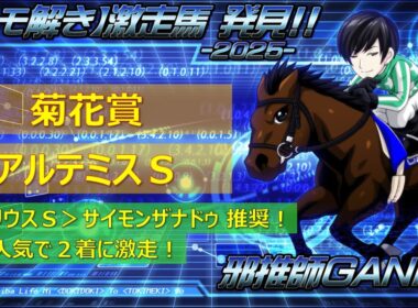 ＜菊花賞＆アルテミスステークス＞【ヒモ解き】激走馬 発見！2025
