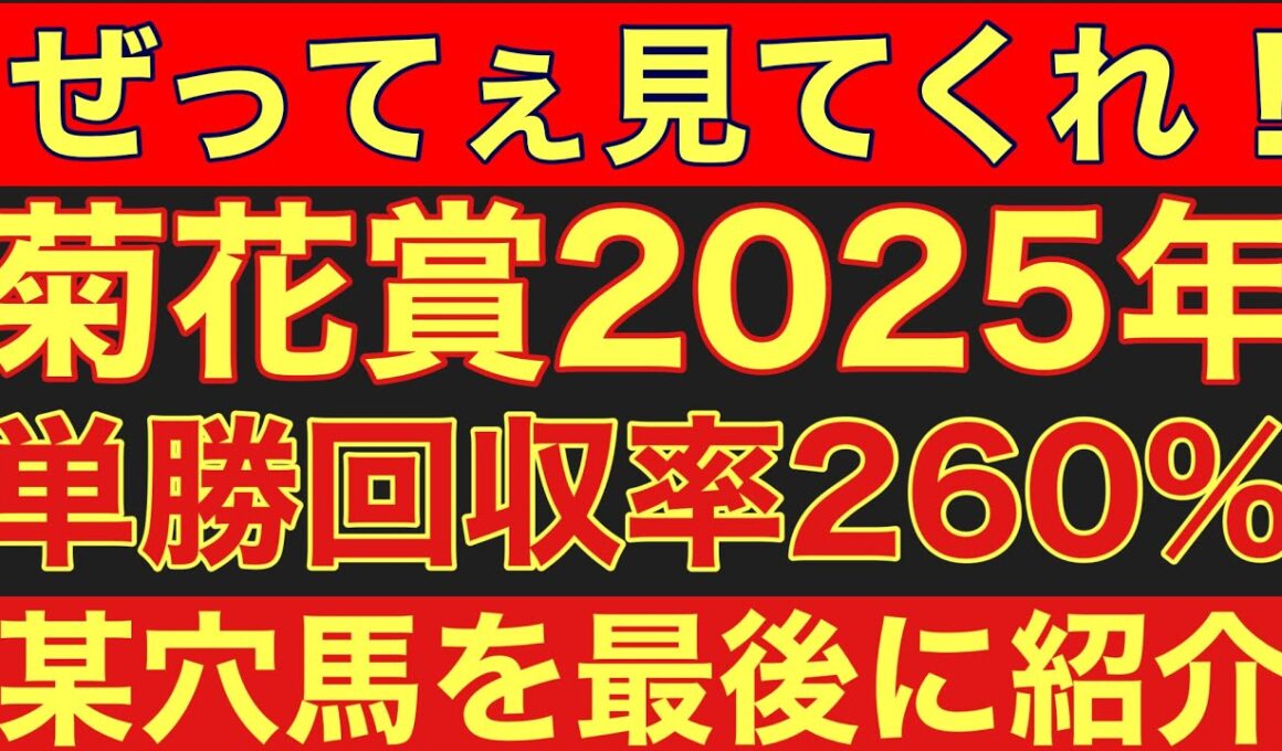 【菊花賞2025】のサイン軸馬予想！複勝率100％！奇数年は某枠がかなり馬券に絡む法則性！#競馬 #菊花賞