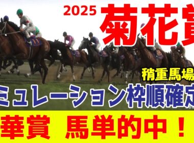 稍重馬場Ver.【菊花賞2025】シミュレーション枠順確定版【ドラマチックカメラ】牡馬三冠最終戦は激戦模様！混戦を制し菊の大輪を咲かせるのは！？展開・追い切りファクターで徹底攻略する！！【競馬予想】