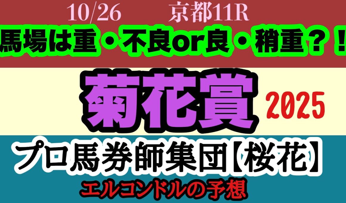 エルコンドル氏の菊花賞2025予想！！G1馬不在の大混戦！そして雨予報！雨の影響による馬場状態で結末はガラッと変わる！ラスト一冠を制するのは果たしてどの馬か？！