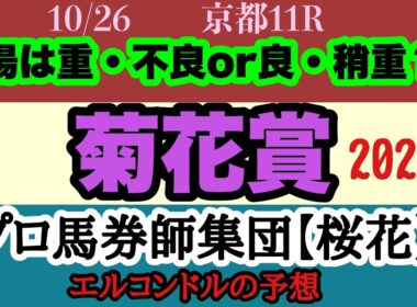 エルコンドル氏の菊花賞2025予想！！G1馬不在の大混戦！そして雨予報！雨の影響による馬場状態で結末はガラッと変わる！ラスト一冠を制するのは果たしてどの馬か？！