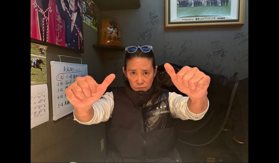 菊花賞 2025 4コーナー〜ゴール前