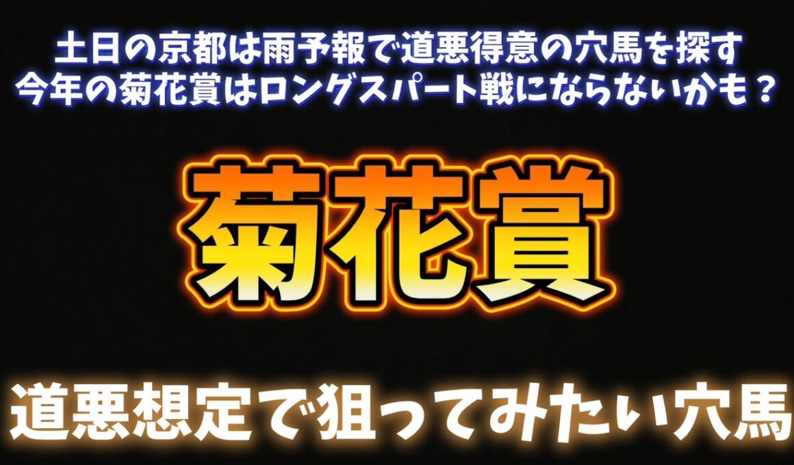 菊花賞 道悪でチャンスが増える穴馬
