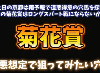 菊花賞 道悪でチャンスが増える穴馬