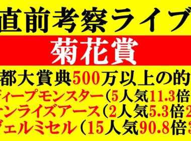 【菊花賞 直前考察ライブ】