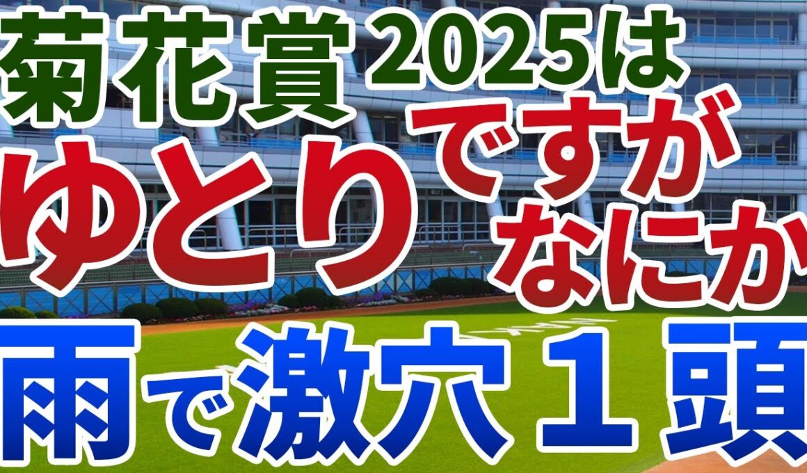 菊花賞2025 追い切り後【買いの1頭】公開！人気薄激走に共通するローテを徹底検証！２桁人気でも好勝負を演じる実力馬は？