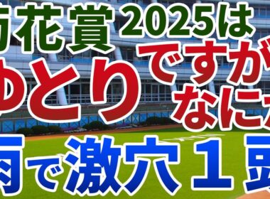 菊花賞2025 追い切り後【買いの1頭】公開！人気薄激走に共通するローテを徹底検証！２桁人気でも好勝負を演じる実力馬は？