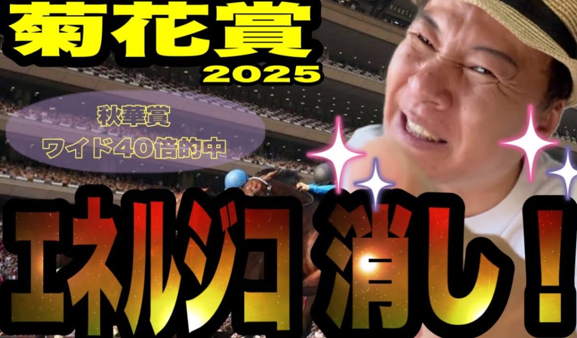 【菊花賞2025】《秋華賞はワイド46倍的中！！》エネルジコ消し！馬群マスターで予想する！