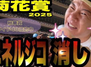 【菊花賞2025】《秋華賞はワイド46倍的中！！》エネルジコ消し！馬群マスターで予想する！
