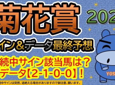 【菊花賞2025】サイン＆データ最終予想！継続中サイン該当馬は？本命データ【２－１－０－０】！（ＢＧＭ　ｂｙくれっぷ）