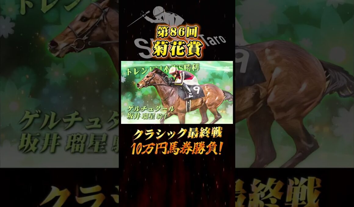 【菊花賞 2025】最終結論！クラシック最終戦で馬券勝負！