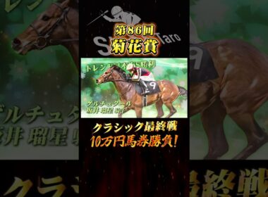 【菊花賞 2025】最終結論！クラシック最終戦で馬券勝負！