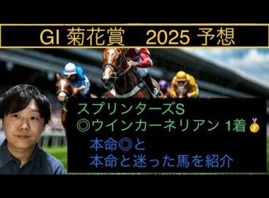 菊花賞2025 予想