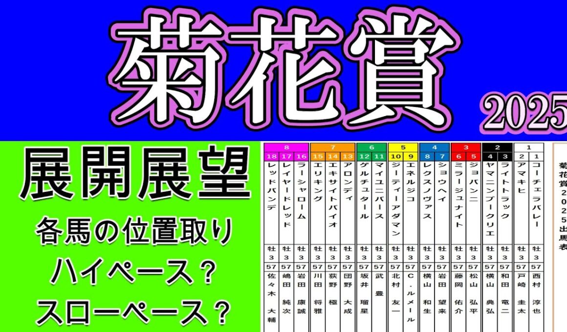 菊花賞2025展開展望！展開の鍵を握るマイユニバースのペース配分に注目が集まり人気のエネルジコやショウヘイにエリキングなど各馬の思惑が考察する！