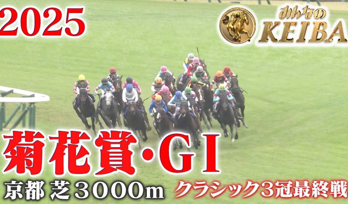 【菊花賞・GⅠ】菊花賞 京都 芝 3000m 2025 レース  【みんなのKEIBA】