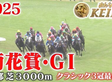 【菊花賞・GⅠ】菊花賞 京都 芝 3000m 2025 レース  【みんなのKEIBA】