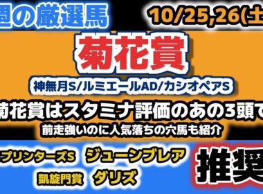 【菊花賞2025 他3レース予想】菊花賞は重馬場もこなせる急上昇の3頭の穴！【今週の厳選馬】【凱旋門賞ダリズ、スプリンターズSジューンブレア推奨】