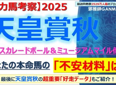 【天皇賞秋2025 有力馬考察】マスカレードボール＆ミュージアムマイル他 人気馬5頭を徹底考察！