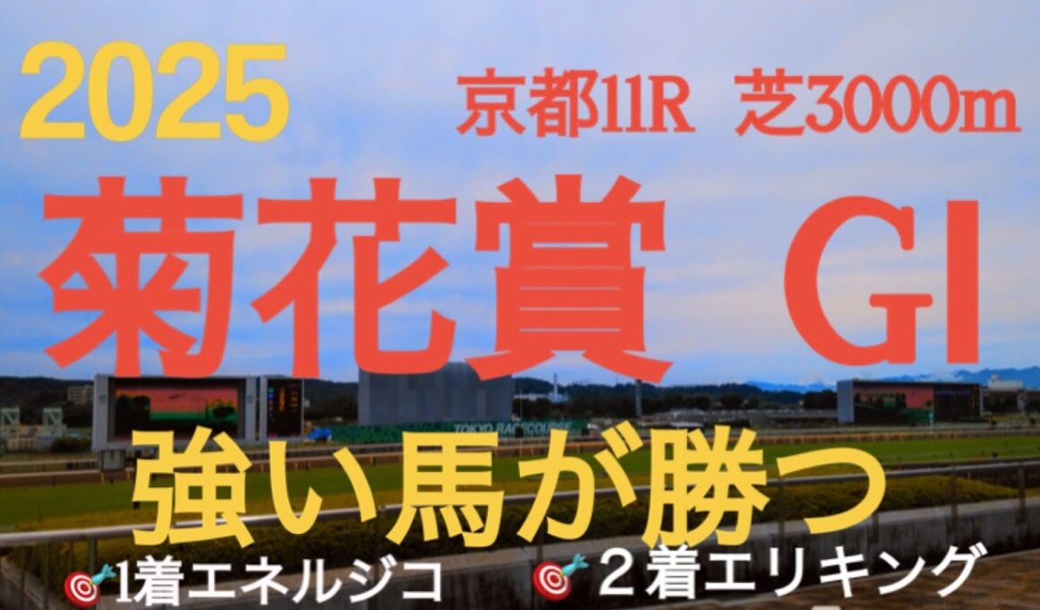 【菊花賞  2025】🎯1着エネルジコ  🎯2着エリキング皐月賞馬、ダービー馬不在の3歳クラシック最終戦‼︎本命不在となり混戦で当日は雨模様‼︎三冠目菊花賞を制する馬は⁉︎刺客エネルジコ参戦‼︎