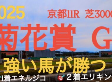 【菊花賞  2025】🎯1着エネルジコ  🎯2着エリキング皐月賞馬、ダービー馬不在の3歳クラシック最終戦‼︎本命不在となり混戦で当日は雨模様‼︎三冠目菊花賞を制する馬は⁉︎刺客エネルジコ参戦‼︎