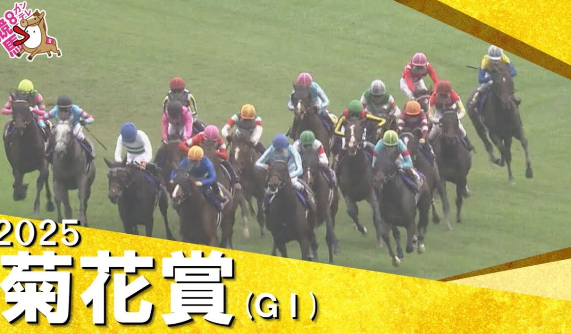 2025年 菊花賞(ＧⅠ) 　実況：川島壮雄【カンテレ公式】