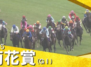2025年 菊花賞(ＧⅠ) 　実況：川島壮雄【カンテレ公式】