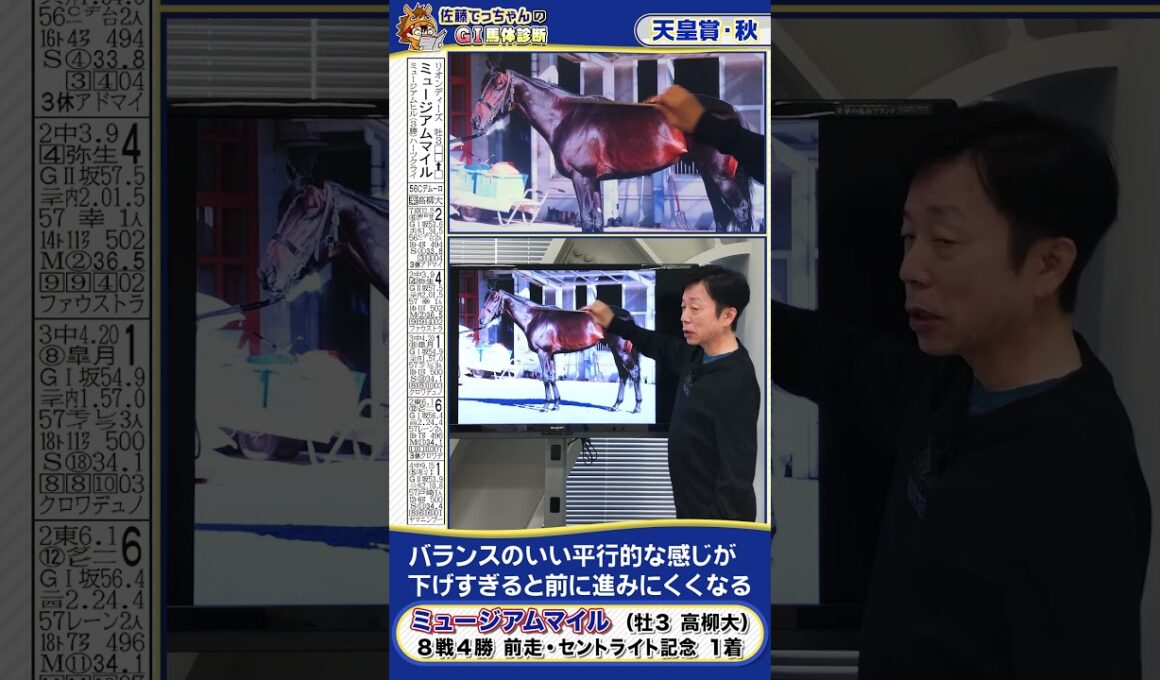 【2025年 天皇賞・秋】皐月賞馬ミュージアムマイルの馬体診断　 #shorts #競馬 #予想