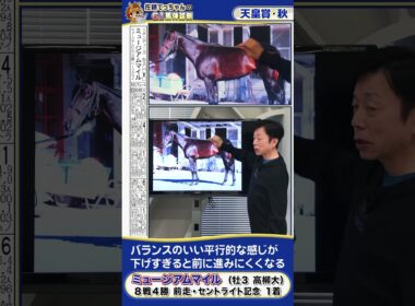 【2025年 天皇賞・秋】皐月賞馬ミュージアムマイルの馬体診断　 #shorts #競馬 #予想