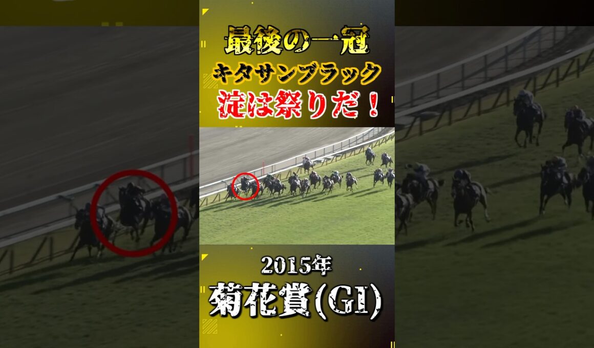 キタサンブラック【2015年菊花賞(GI)】#競馬 #shorts #菊花賞 #キタサンブラック #ウマ娘