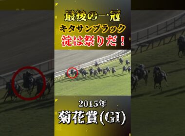 キタサンブラック【2015年菊花賞(GI)】#競馬 #shorts #菊花賞 #キタサンブラック #ウマ娘