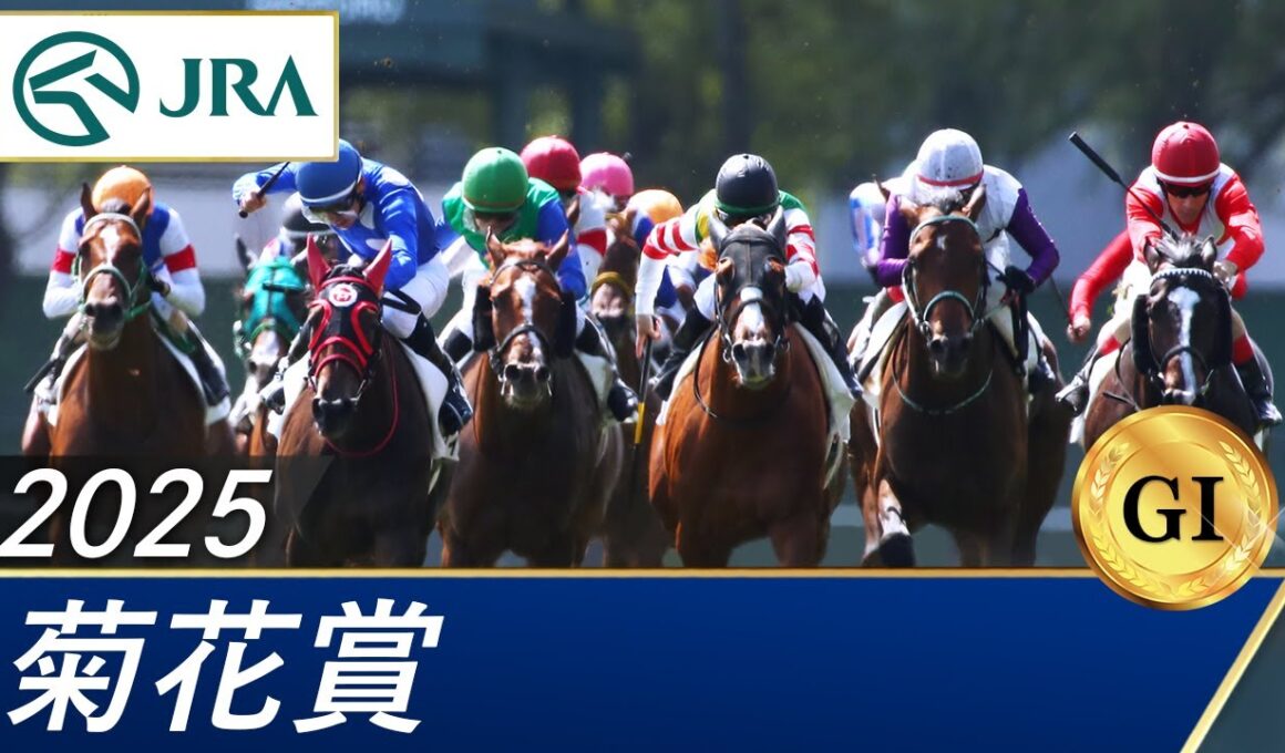 2025年 菊花賞（GⅠ） | 第86回 | JRA公式