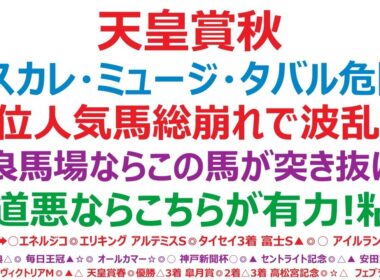 天皇賞秋2025予想　マスカレードボール、ミュージアムマイル、メイショウタバル。この3頭は危険！上位人気馬総崩れで波乱もある！◎良馬場ならこの馬が突き抜ける！○道悪になった場合は、この馬本命も。