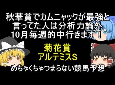 秋華賞でカムニャックが最強と言ってた人は分析力論外 10月毎週的中行きます！ 秋華賞 アルテミスS めちゃくちゃつまらない競馬予想