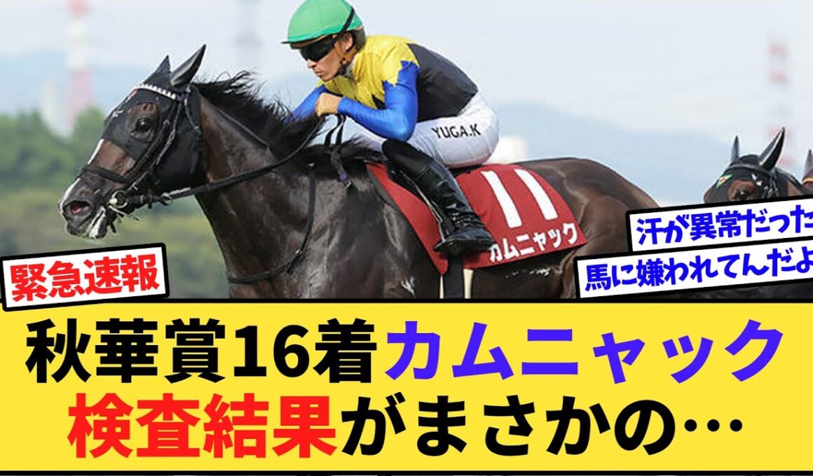 【速報】秋華賞16着のカムニャック、レース後の検査結果がまさかの…